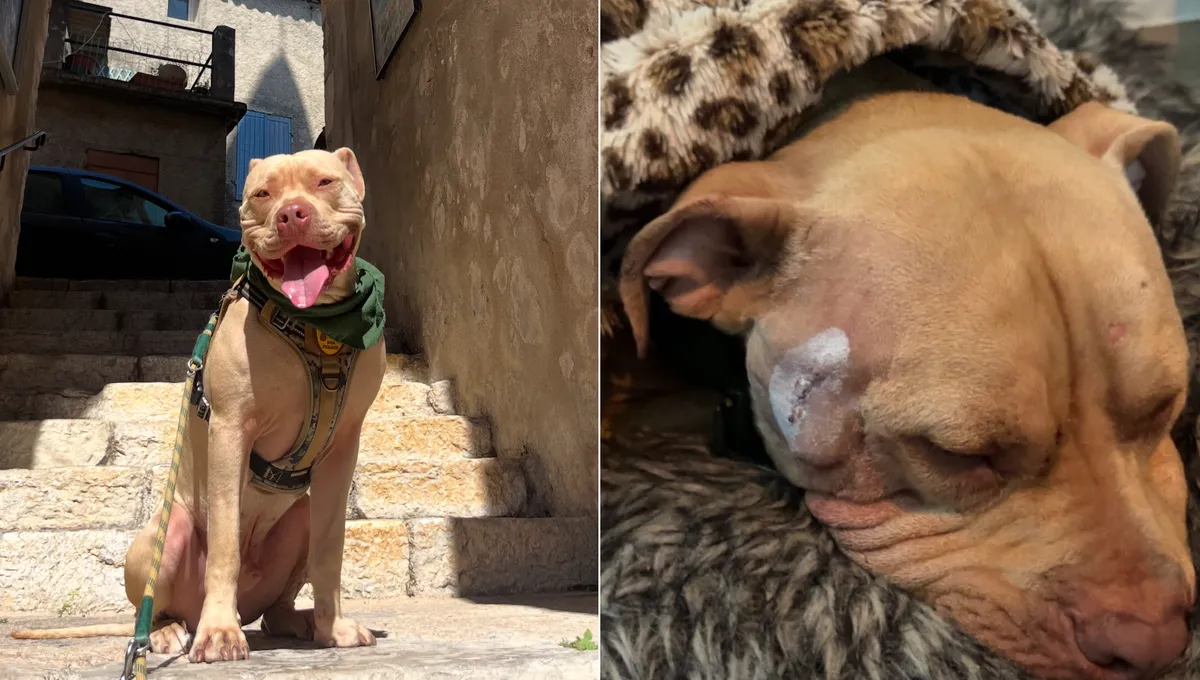 AfranceTravail - Haute-Savoie  - Harcèlement travail France Travail